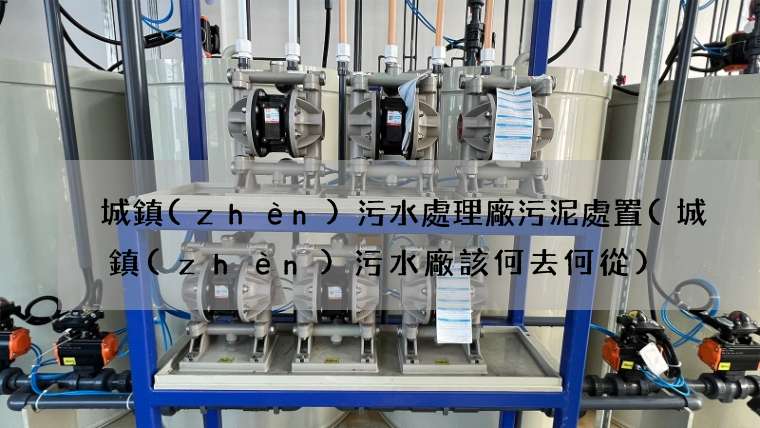 城鎮(zhèn)污水處理廠污泥處置(城鎮(zhèn)污水廠該何去何從)